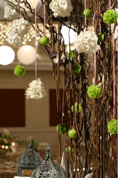 I think the hanging moss and apples are quite unusual